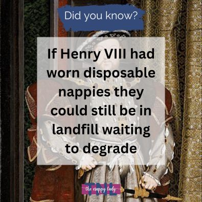 Henry VIII's Nappies