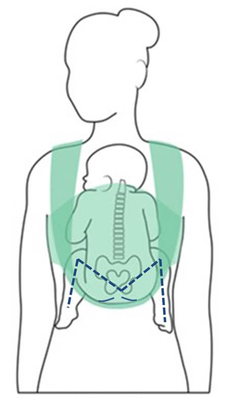 M position in a baby carrier
