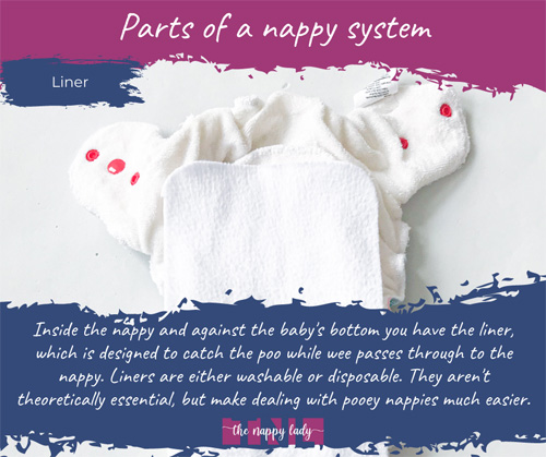 Parts of a nappy - liner