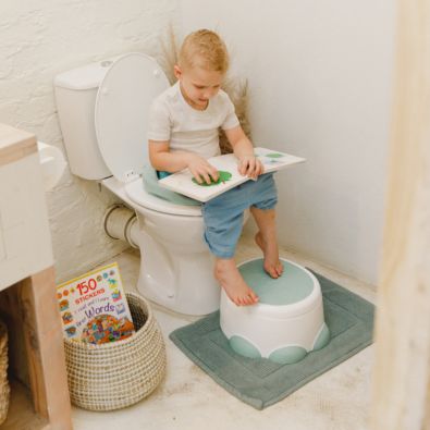 Potty Training Seat