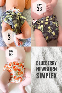 Blueberry newborn Simplex nappy