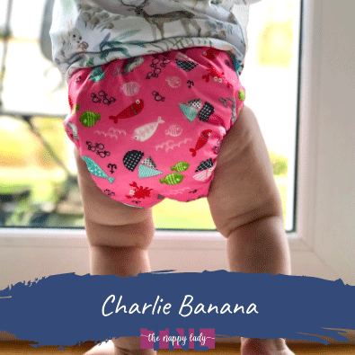 Charlie Banana Reusable Nappies