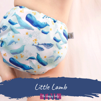 Little Lamb Reusable Nappies