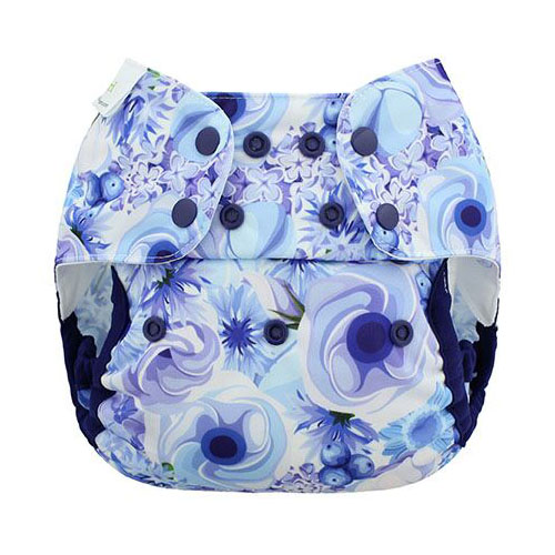 blueberry nappies uk