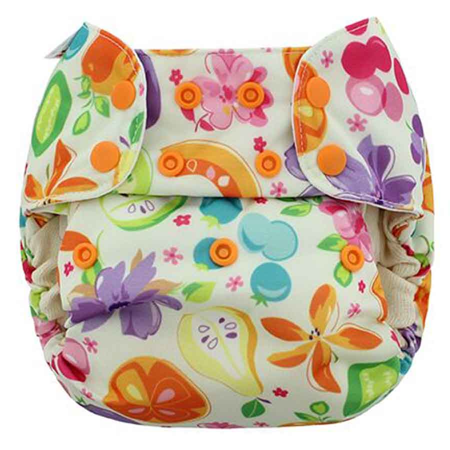 Blueberry Simplex All In One Nappy