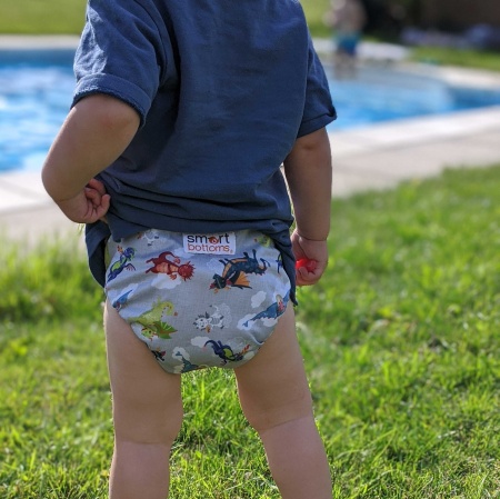 Smart Bottoms Dream Diaper 2.0