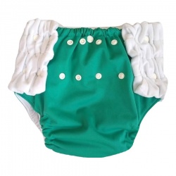 Baby Beehinds Pull Up Nappy / Training Pants